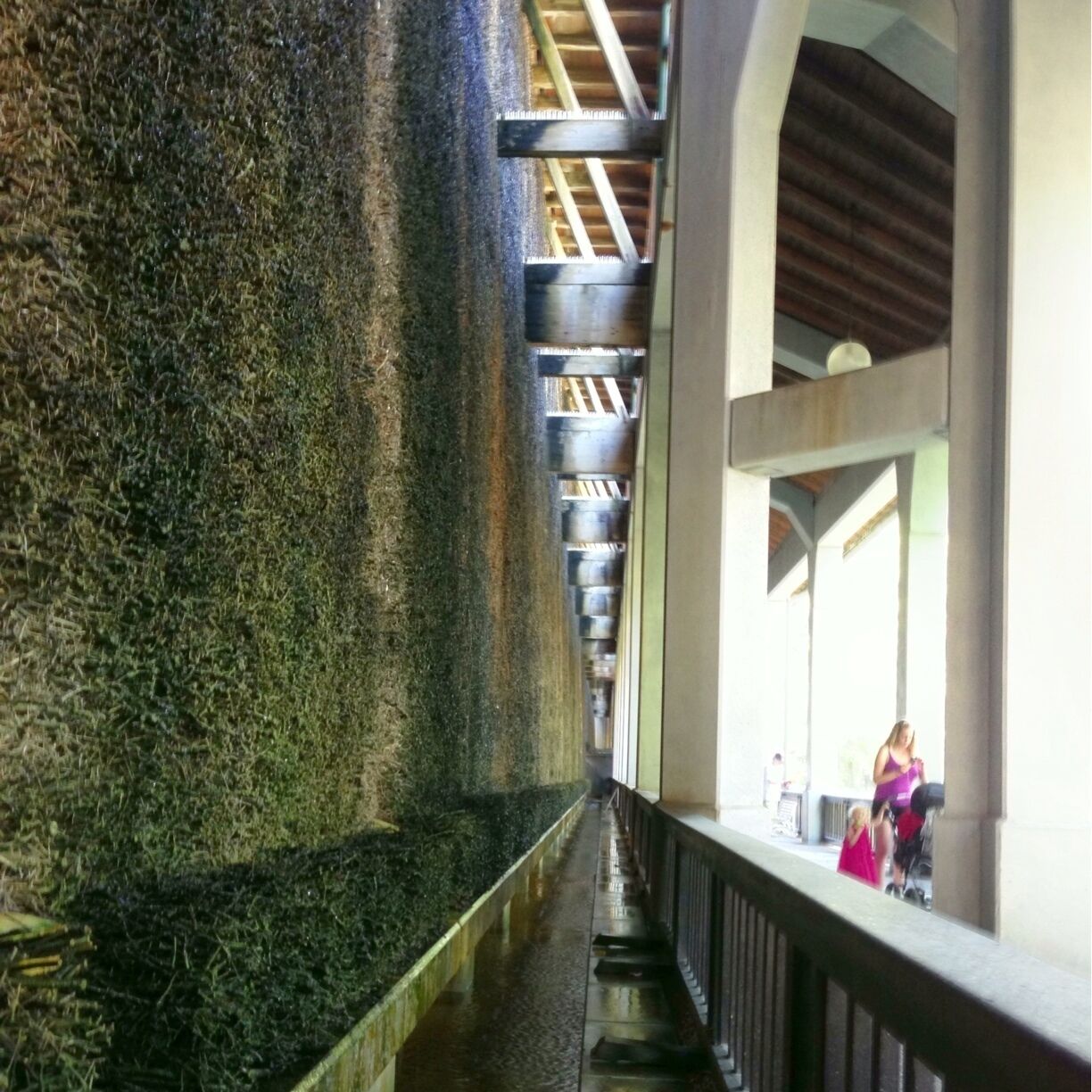 Bad Reichenhall is famour for its salt water. Here, in an old prison building, the salt water runs through blackthorn to release its fumes to be inhaled for good health.