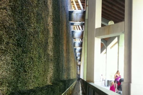 Bad Reichenhall is famour for its salt water. Here, in an old prison building, the salt water runs through blackthorn to release its fumes to be inhaled for good health.