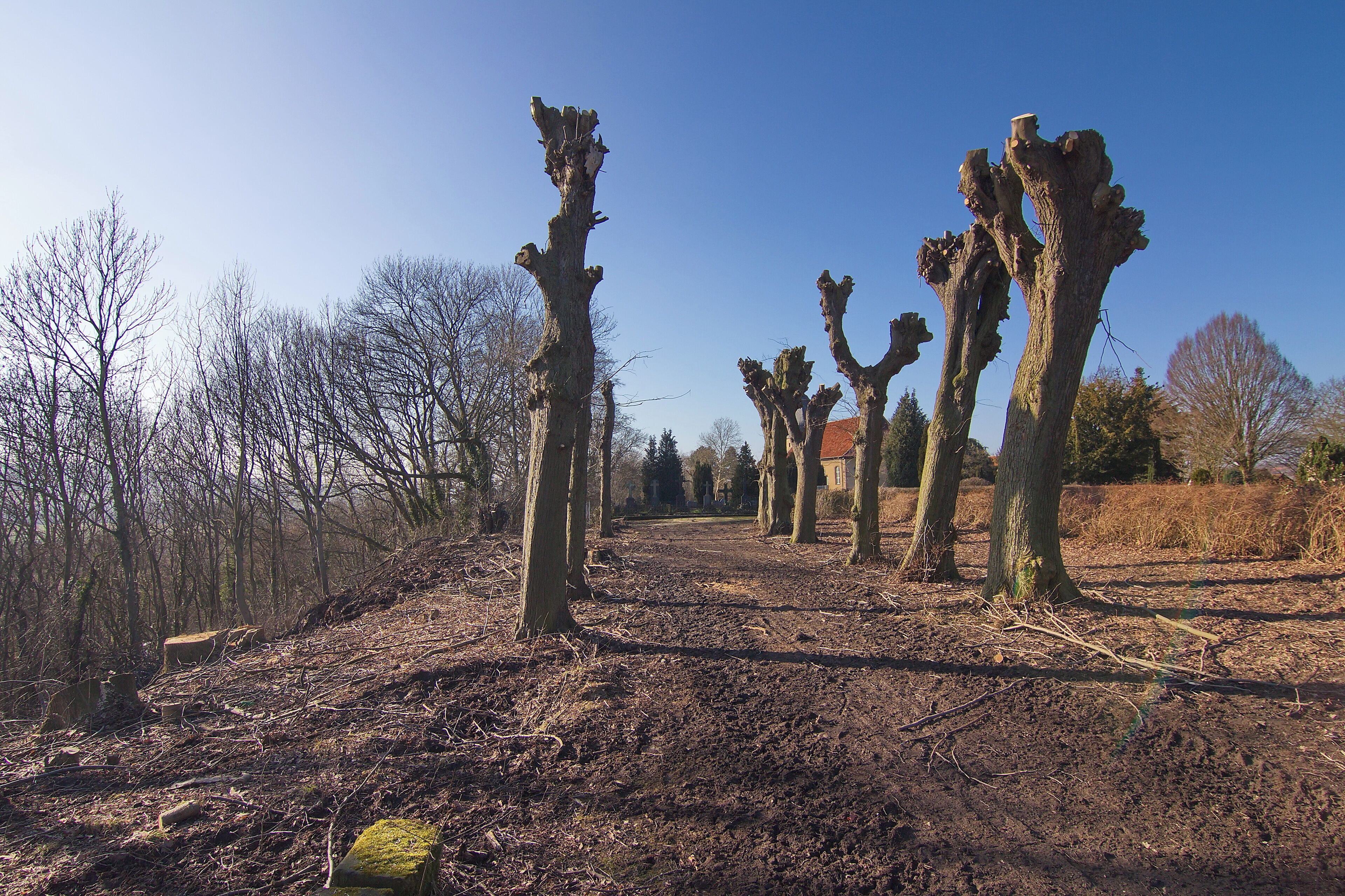 Heinde (Bad Salzdetfurth), Niedersachsen, Deutschland