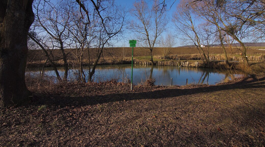 Das Gut Walshausen von 1829 in Heinde (Bad Salzdetfurth) wurde nach Plänen des hannoverschen Architekten Laves errichtet.