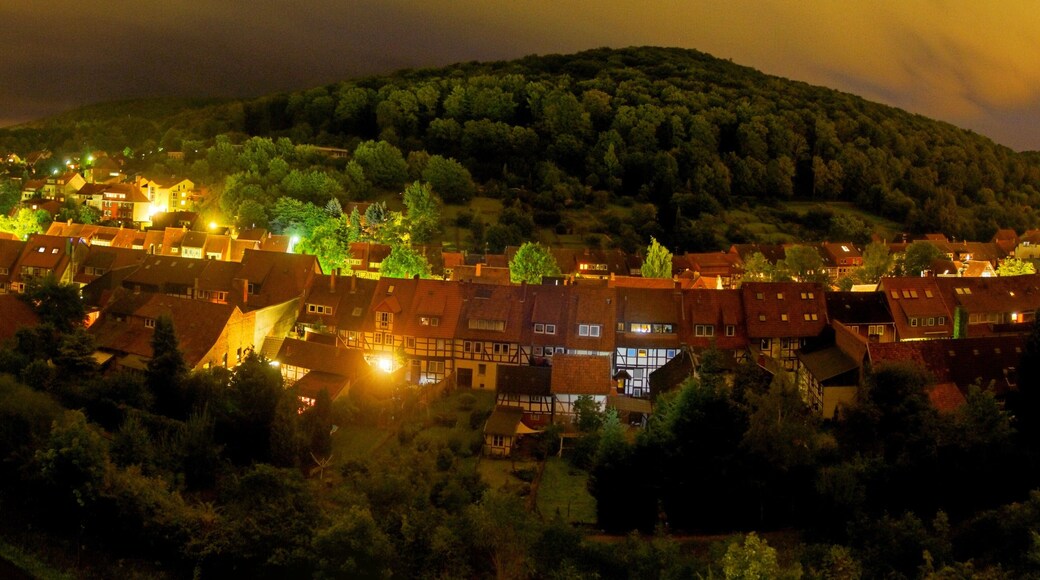 Bad Salzdetfurth, Nacht, Blick nach Osten, 16.08.2010 - 22:00Uhr