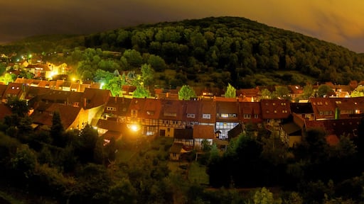 Bad Salzdetfurth, Nacht, Blick nach Osten, 16.08.2010 - 22:00Uhr