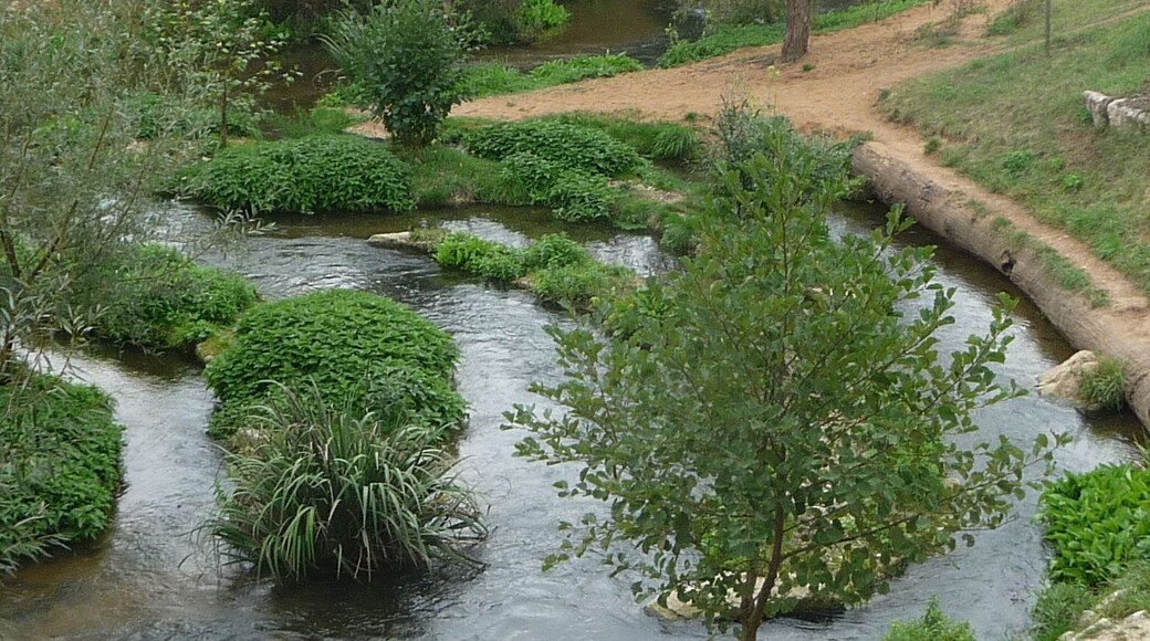 die vier Flüsse des Paradieses