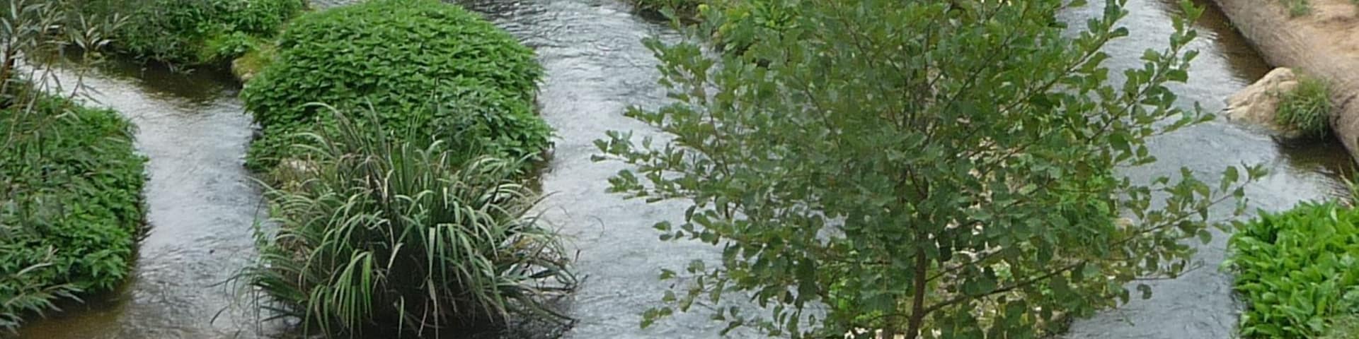 die vier Flüsse des Paradieses