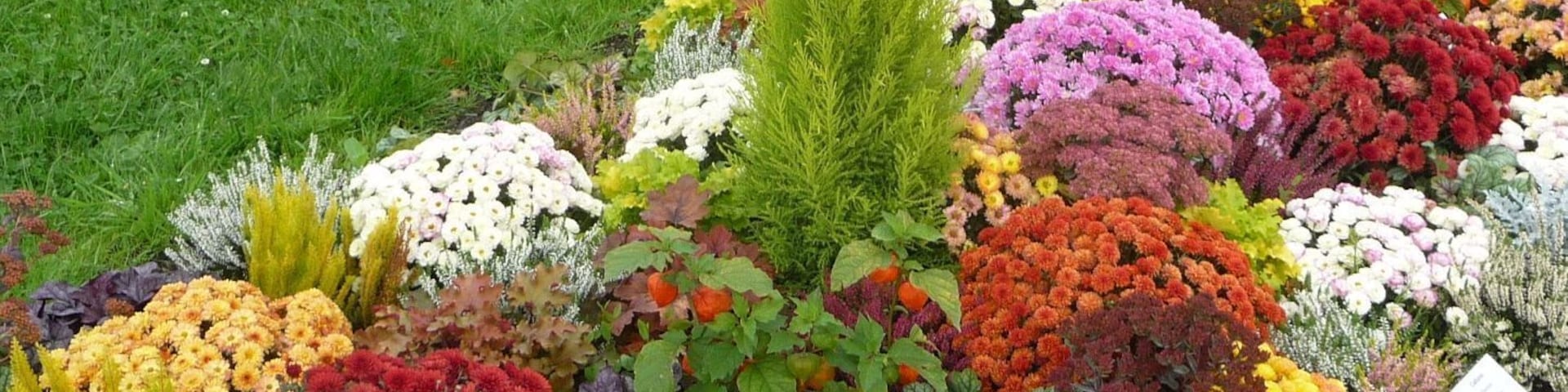 So wünschen sich die meisten Besucher eine Gartenschau.