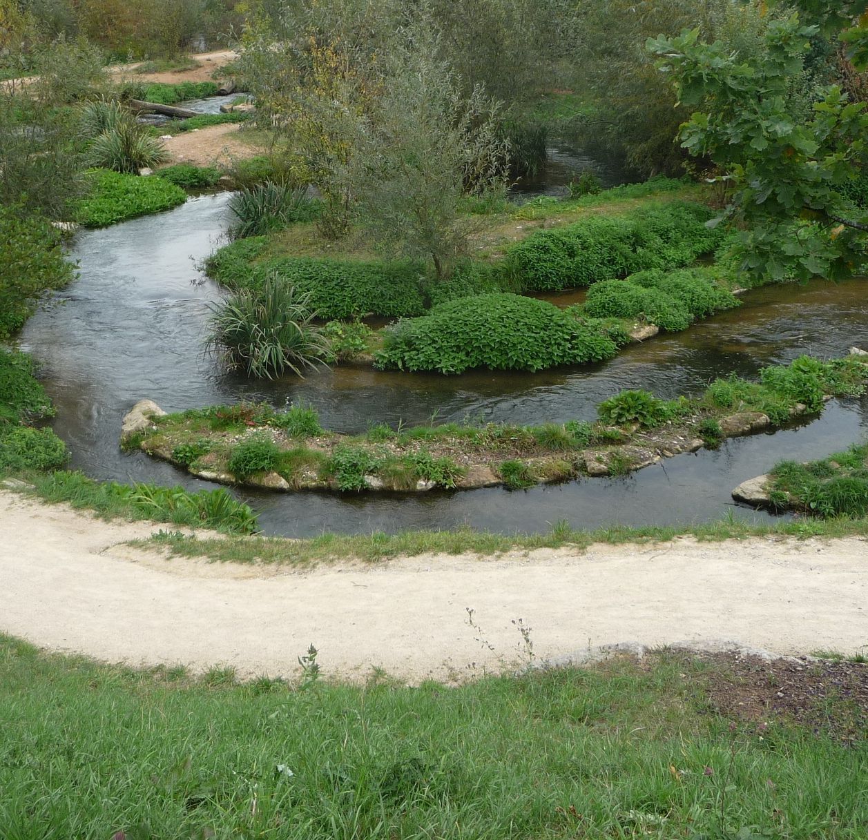 die vier Paradiesflüsse