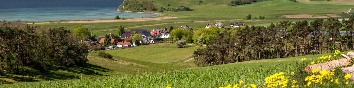 Zickersche Berge auf Rügen sonnig Tourismus