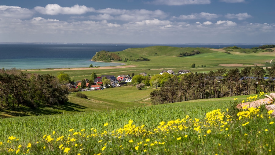 Zickersche Berge auf Rügen sonnig Tourismus