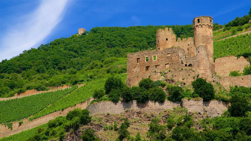A medieval castle on a hillside with lush greenery and vineyards.