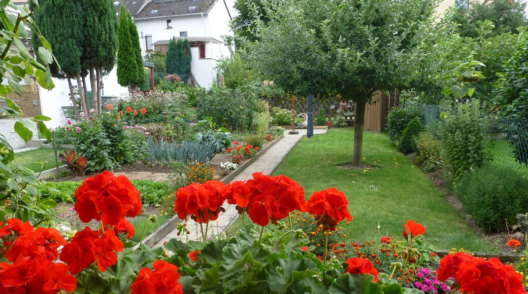 Hausgarten in der Nähe der Rheinauen