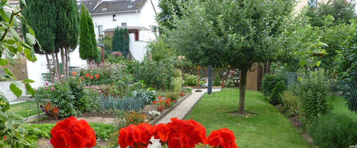 A lush garden with vibrant red geraniums in the foreground, a well-maintained lawn, and a variety of other plants and trees.