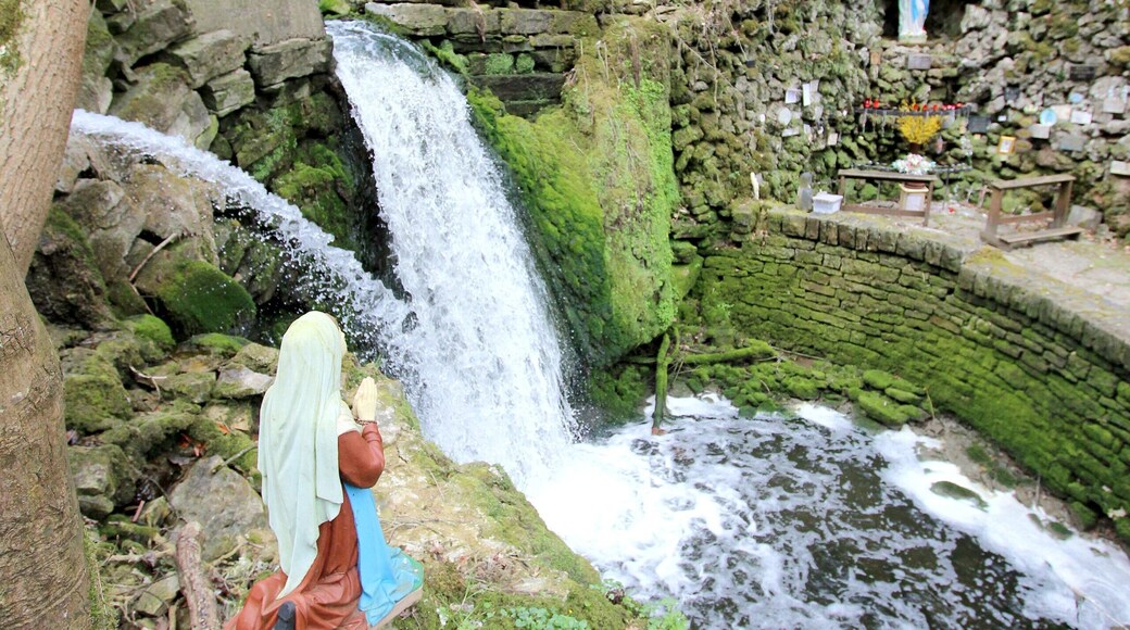54634 Bitburg, westlich von Albach, Gewann Im gebrannten Berg. 2,5 Kilometer östlich von Bitburg erstreckt sich, zu beiden Seiten von hohen bewaldeten Hängen begleitet, eine Kalkschlucht, das Albachtal, das dem durchfließenden Albach seinen Namen verdankt. Der Bach bildet nicht weit vom Eintritt in das Tal einen schönen Wasserfall. Treppen von Natursteinen führen zu ihm hinab. Pfade durchziehen das stets feuchte Tal. Weiter unten ist die Albachschlucht erweitert. Dort stürzt das Wasser abermals als Wasserfall herab. Neben dem Wasserfall gibt es eine Mariengrotte. Aufnahme von 2018.