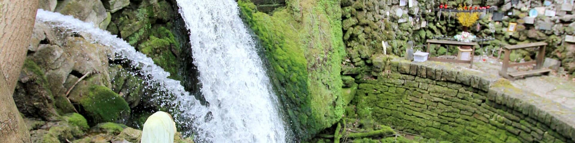 54634 Bitburg, westlich von Albach, Gewann Im gebrannten Berg. 2,5 Kilometer östlich von Bitburg erstreckt sich, zu beiden Seiten von hohen bewaldeten HĂ€ngen begleitet, eine Kalkschlucht, das Albachtal, das dem durchflieĂenden Albach seinen Namen verdankt. Der Bach bildet nicht weit vom Eintritt in das Tal einen schönen Wasserfall. Treppen von Natursteinen fĂŒhren zu ihm hinab. Pfade durchziehen das stets feuchte Tal. Weiter unten ist die Albachschlucht erweitert. Dort stĂŒrzt das Wasser abermals als Wasserfall herab. Neben dem Wasserfall gibt es eine Mariengrotte. Aufnahme von 2018.
