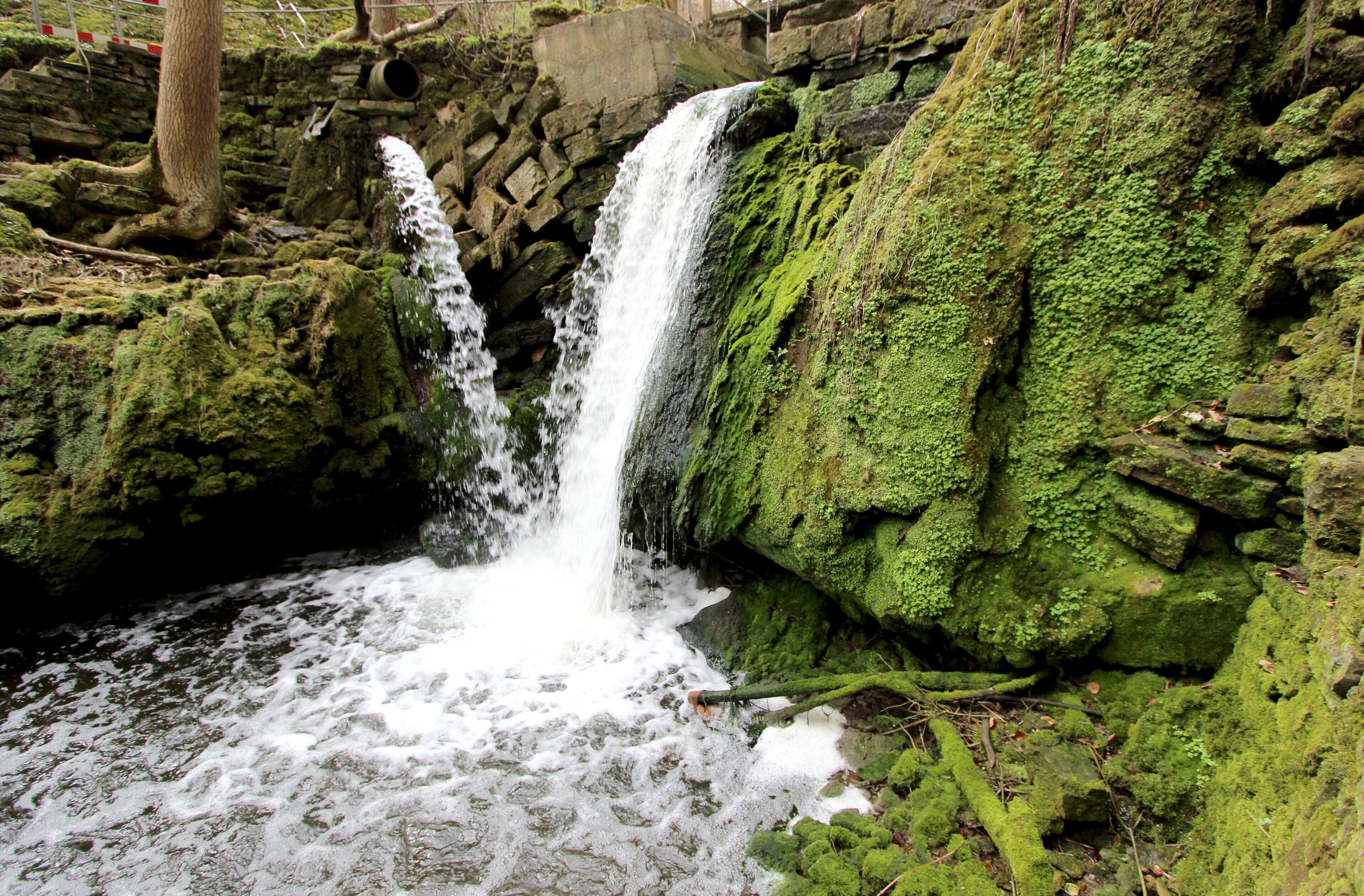 54634 Bitburg, westlich von Albach, Gewann Im gebrannten Berg. 2,5 Kilometer östlich von Bitburg erstreckt sich, zu beiden Seiten von hohen bewaldeten Hängen begleitet, eine Kalkschlucht, das Albachtal, das dem durchfließenden Albach seinen Namen verdankt. Der Bach bildet nicht weit vom Eintritt in das Tal einen schönen Wasserfall. Treppen von Natursteinen führen zu ihm hinab. Pfade durchziehen das stets feuchte Tal. Weiter unten ist die Albachschlucht erweitert. Dort stürzt das Wasser abermals als Wasserfall herab. Neben dem Wasserfall gibt es eine Mariengrotte. Aufnahme von 2018.