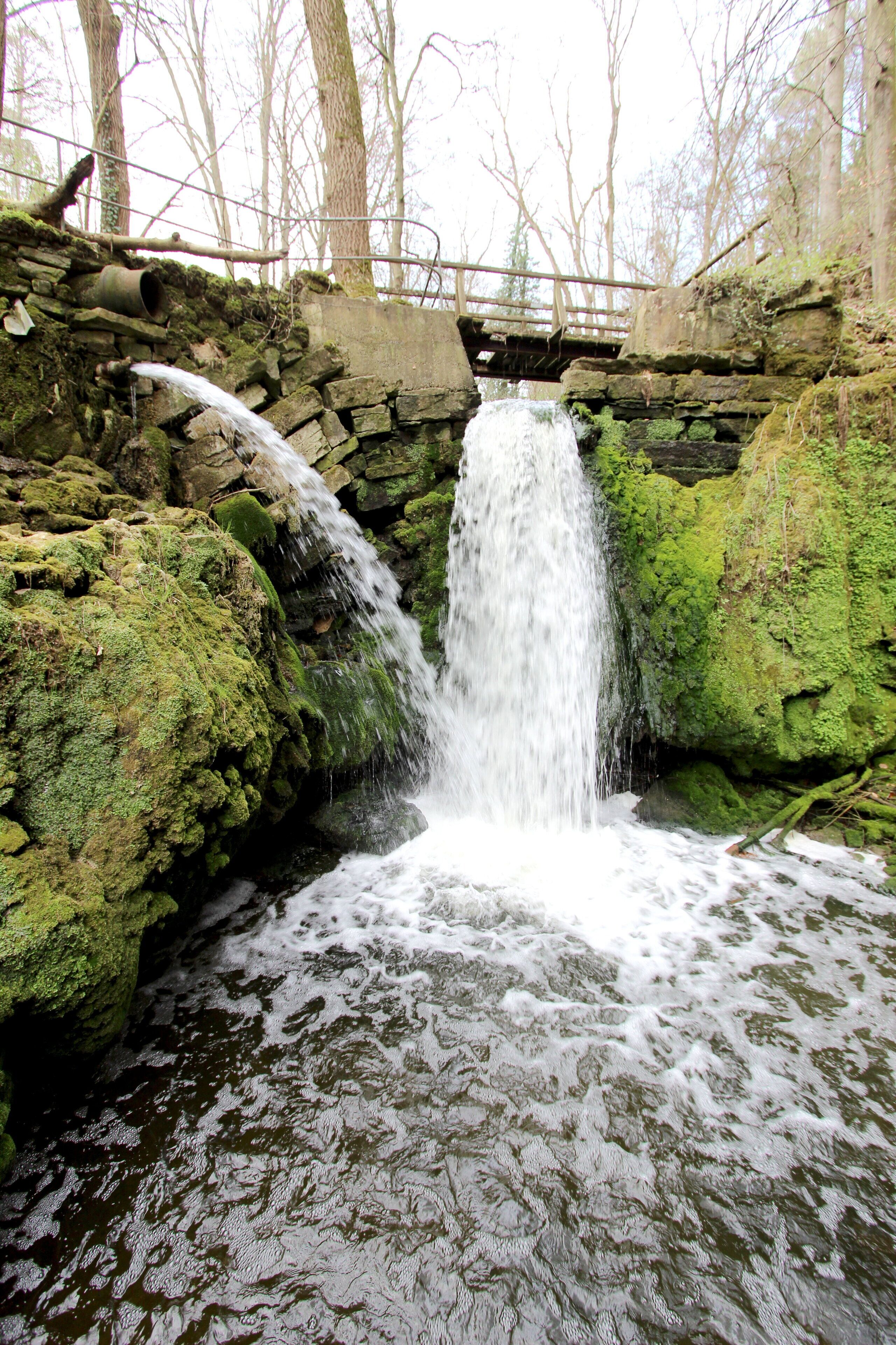 54634 Bitburg, westlich von Albach, Gewann Im gebrannten Berg. 2,5 Kilometer östlich von Bitburg erstreckt sich, zu beiden Seiten von hohen bewaldeten Hängen begleitet, eine Kalkschlucht, das Albachtal, das dem durchfließenden Albach seinen Namen verdankt. Der Bach bildet nicht weit vom Eintritt in das Tal einen schönen Wasserfall. Treppen von Natursteinen führen zu ihm hinab. Pfade durchziehen das stets feuchte Tal. Weiter unten ist die Albachschlucht erweitert. Dort stürzt das Wasser abermals als Wasserfall herab. Neben dem Wasserfall gibt es eine Mariengrotte. Aufnahme von 2018.