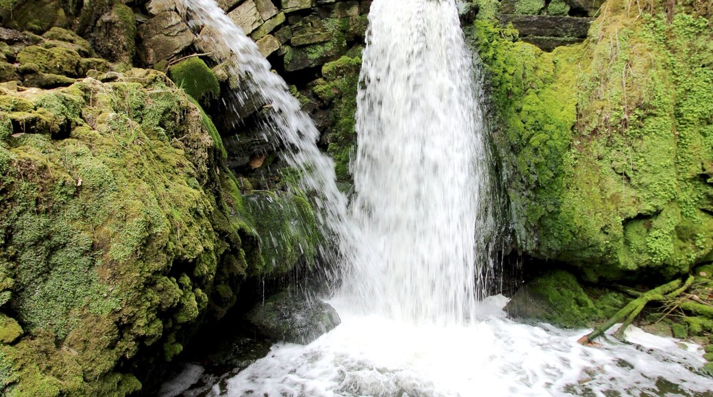 54634 Bitburg, westlich von Albach, Gewann Im gebrannten Berg. 2,5 Kilometer östlich von Bitburg erstreckt sich, zu beiden Seiten von hohen bewaldeten Hängen begleitet, eine Kalkschlucht, das Albachtal, das dem durchfließenden Albach seinen Namen verdankt. Der Bach bildet nicht weit vom Eintritt in das Tal einen schönen Wasserfall. Treppen von Natursteinen führen zu ihm hinab. Pfade durchziehen das stets feuchte Tal. Weiter unten ist die Albachschlucht erweitert. Dort stürzt das Wasser abermals als Wasserfall herab. Neben dem Wasserfall gibt es eine Mariengrotte. Aufnahme von 2018.