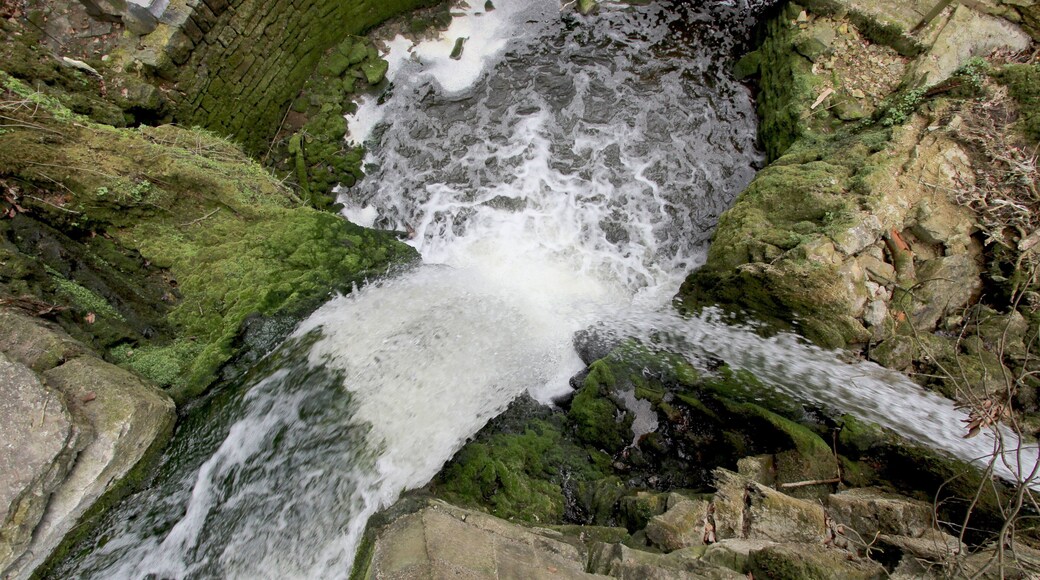54634 Bitburg, westlich von Albach, Gewann Im gebrannten Berg. 2,5 Kilometer östlich von Bitburg erstreckt sich, zu beiden Seiten von hohen bewaldeten Hängen begleitet, eine Kalkschlucht, das Albachtal, das dem durchfließenden Albach seinen Namen verdankt. Der Bach bildet nicht weit vom Eintritt in das Tal einen schönen Wasserfall. Treppen von Natursteinen führen zu ihm hinab. Pfade durchziehen das stets feuchte Tal. Weiter unten ist die Albachschlucht erweitert. Dort stürzt das Wasser abermals als Wasserfall herab. Neben dem Wasserfall gibt es eine Mariengrotte. Aufnahme von 2018.