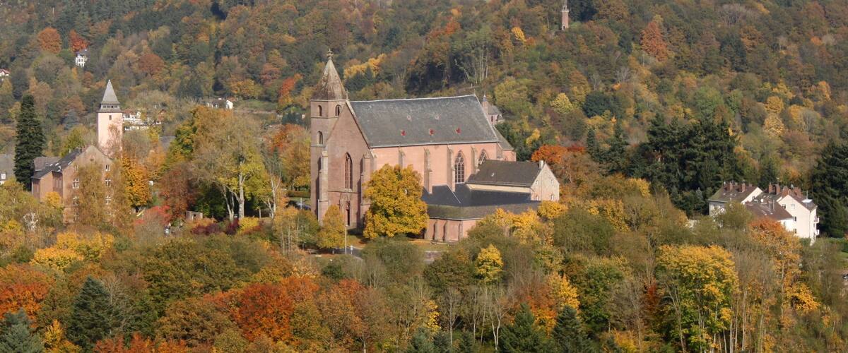 A church surrounded by autumn-colored trees.