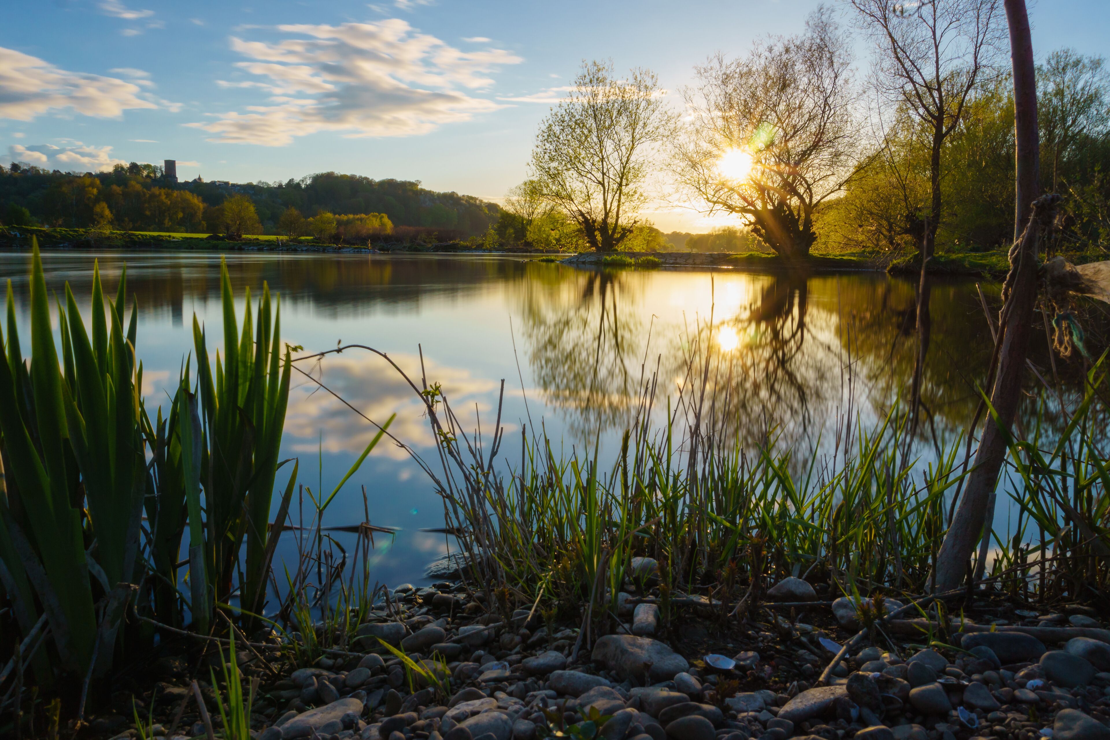 Un lago sereno que refleja árboles y un cielo despejado.