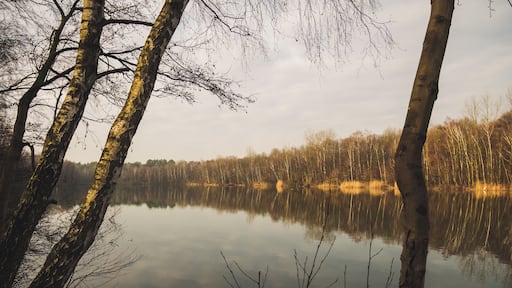 Heidhofsee ob a winter morning.