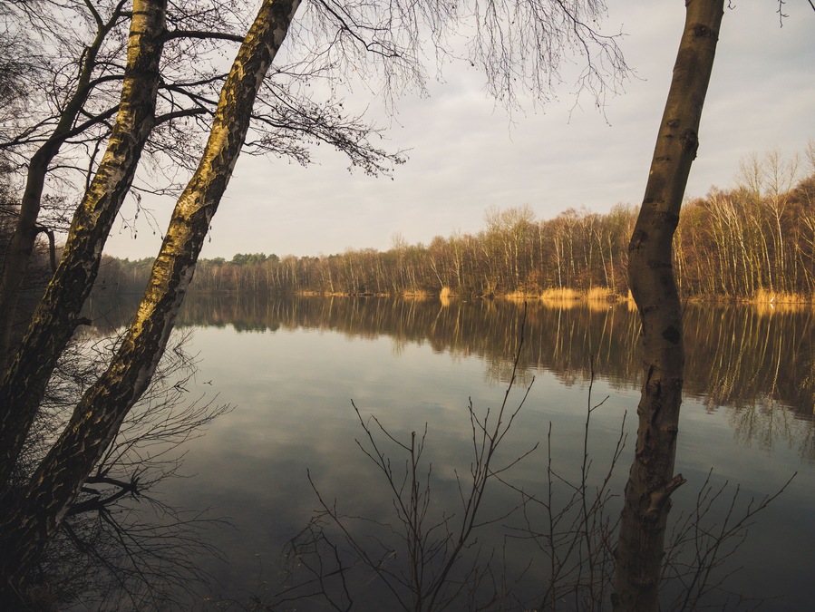 Heidhofsee ob a winter morning.