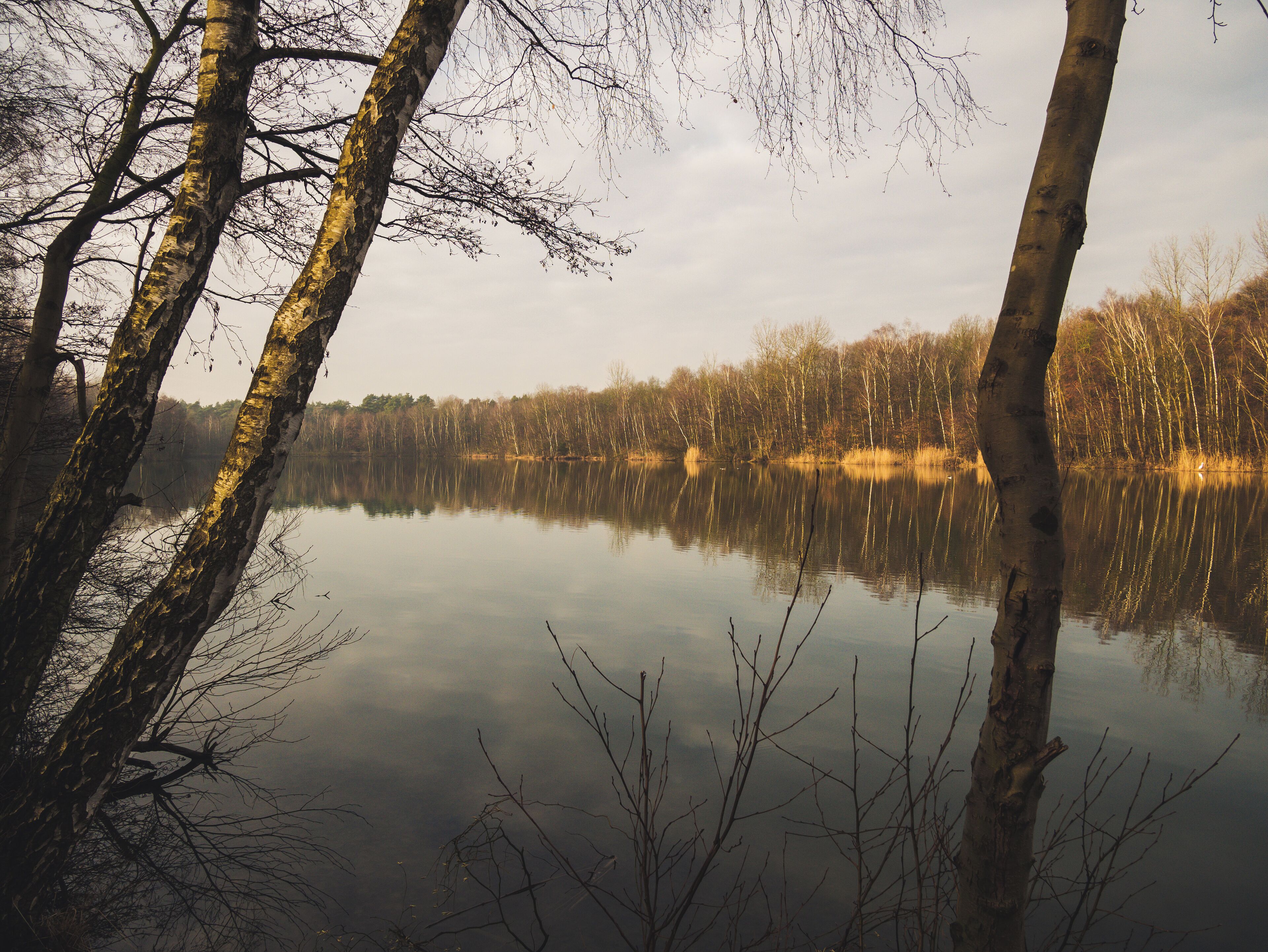 A calm lake surrounded by trees with bare branches.