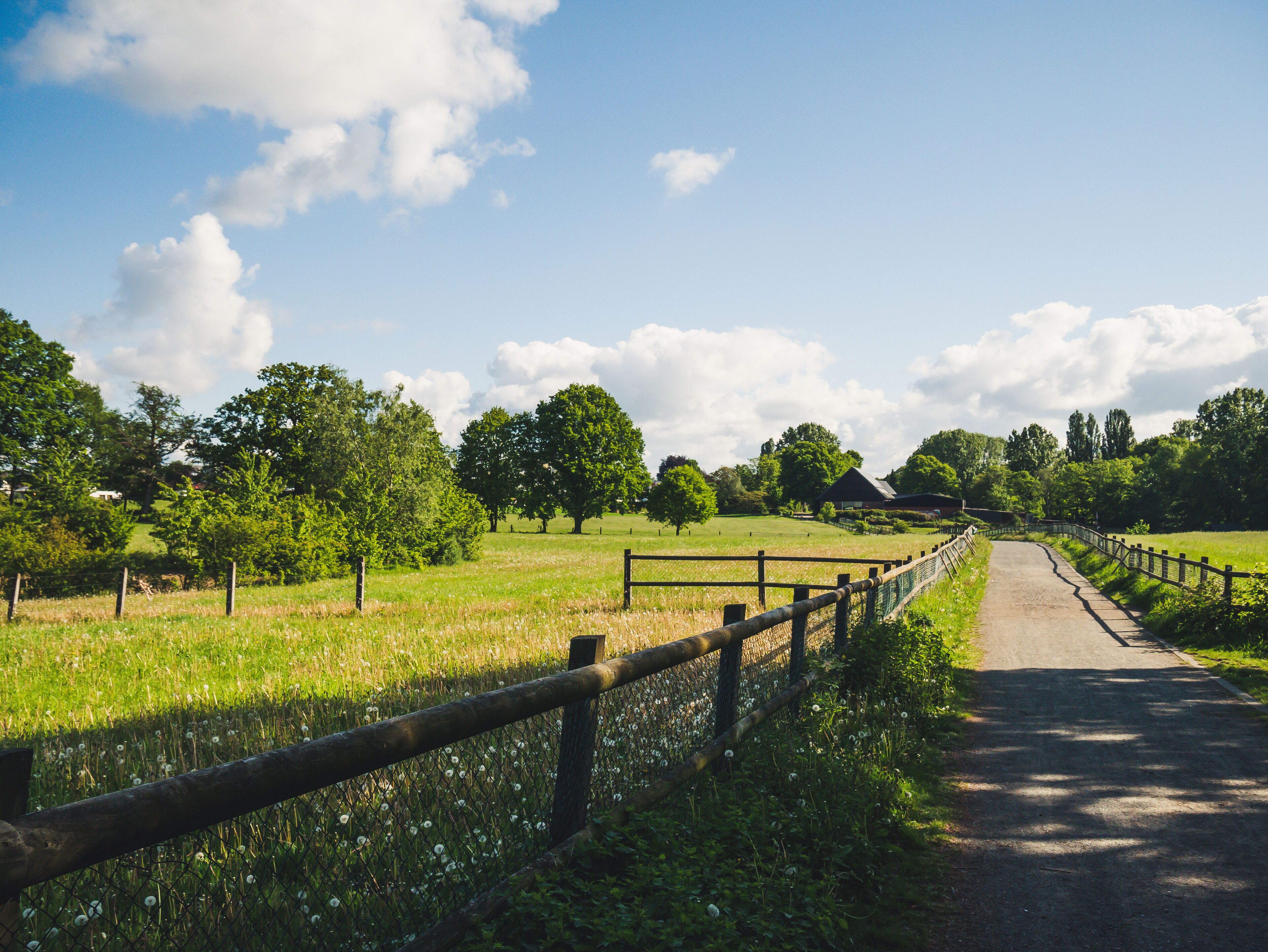 The green fields of Bottrop.