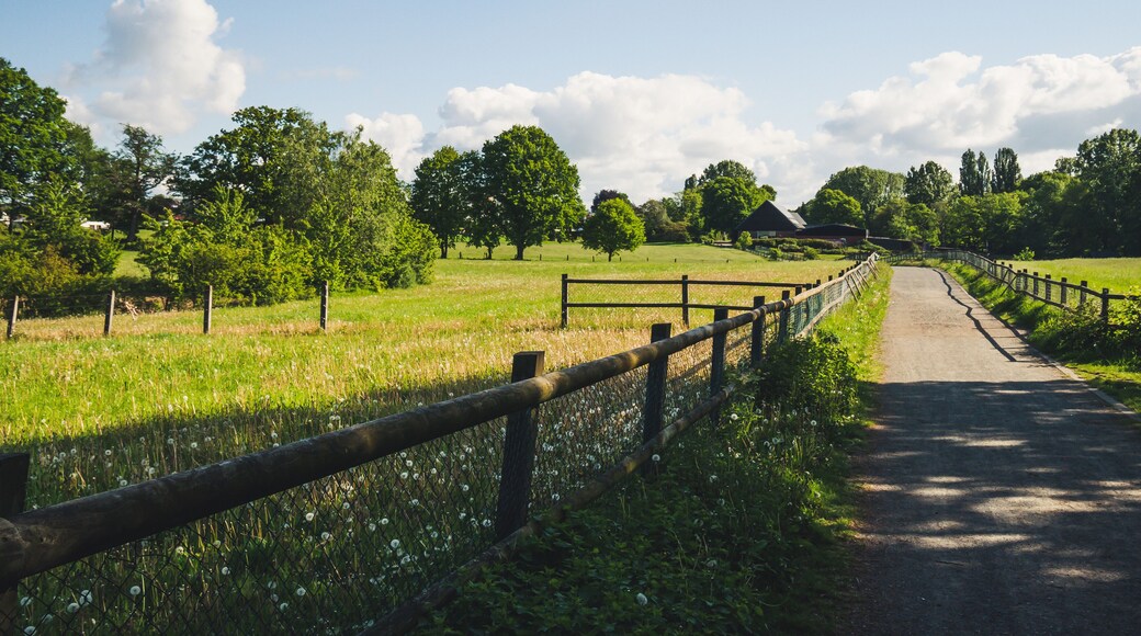 The green fields of Bottrop.