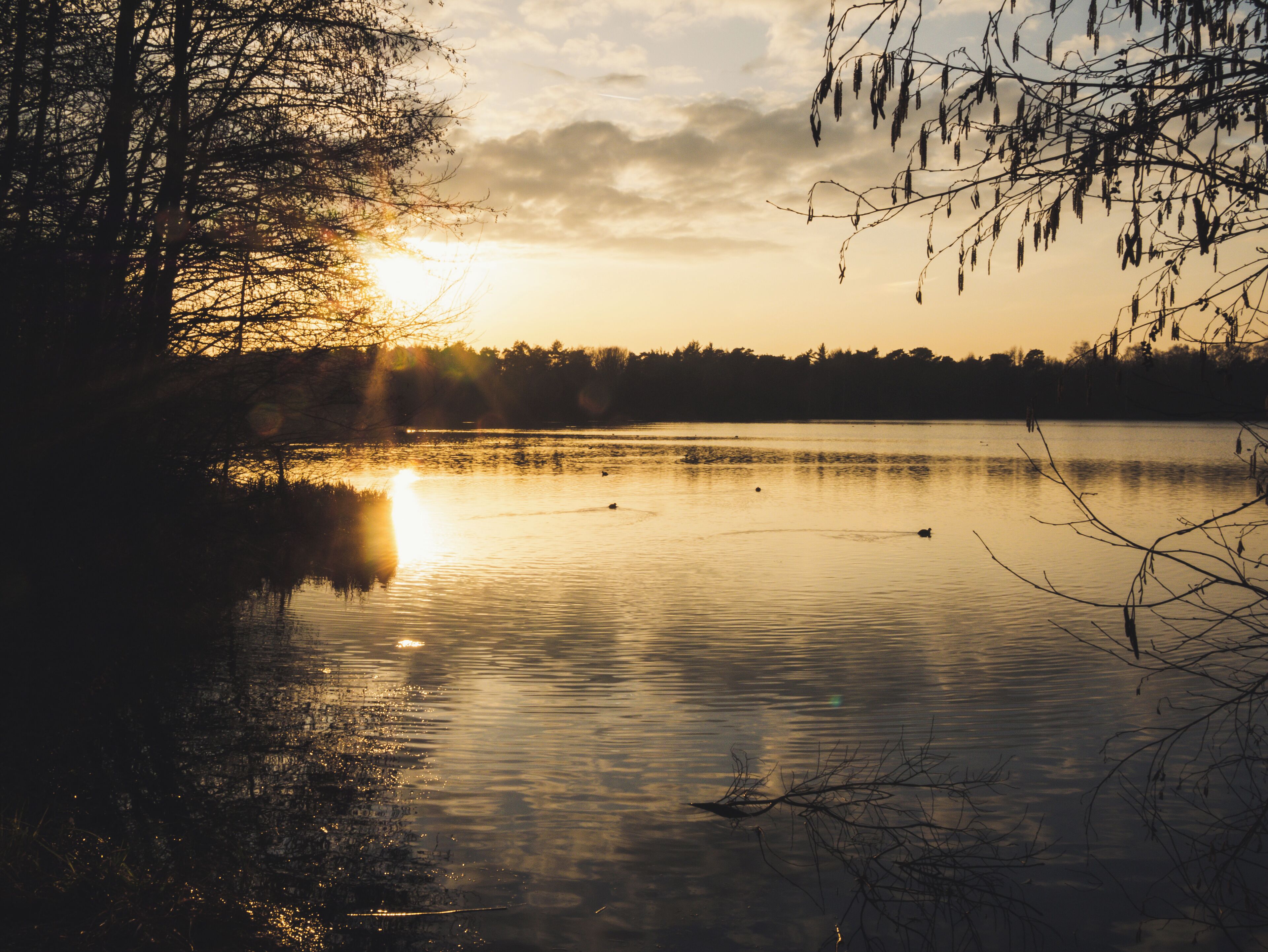 Sunset at the Heidesee.
