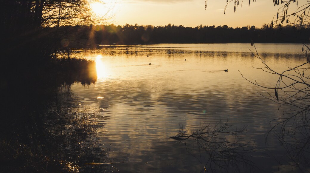 Sunset at the Heidesee.