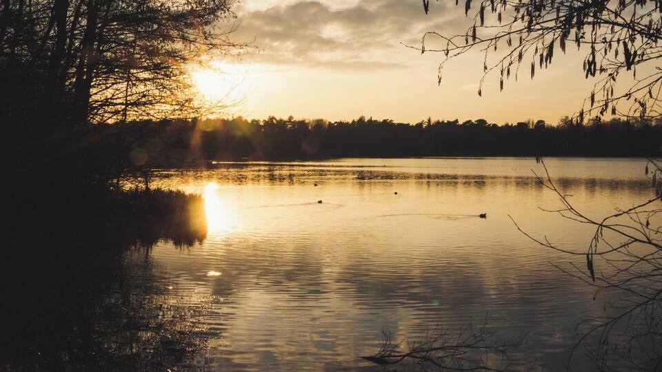 Sunset at the Heidesee.