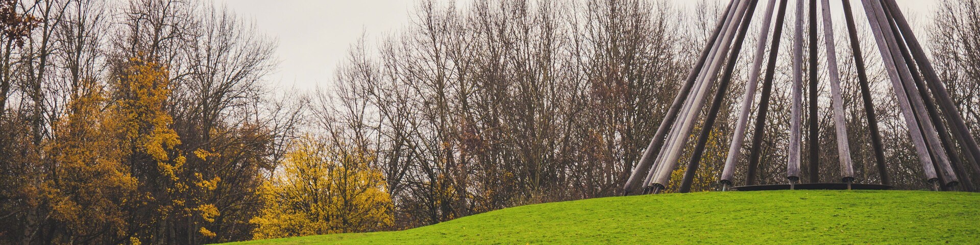 Telephoto photowork in the fall.