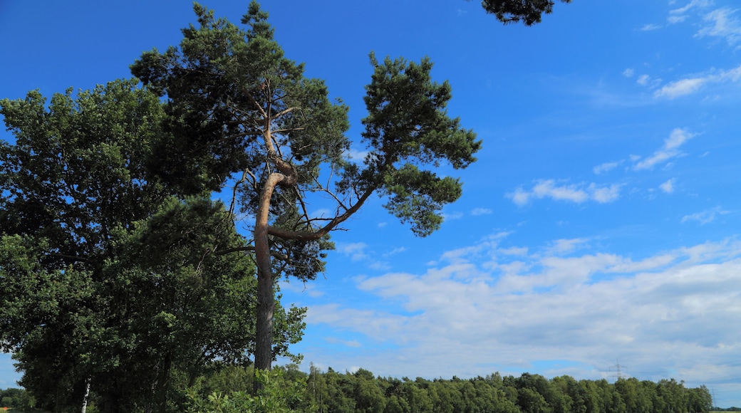 This is a picture of the protected area listed at WDPA under the ID