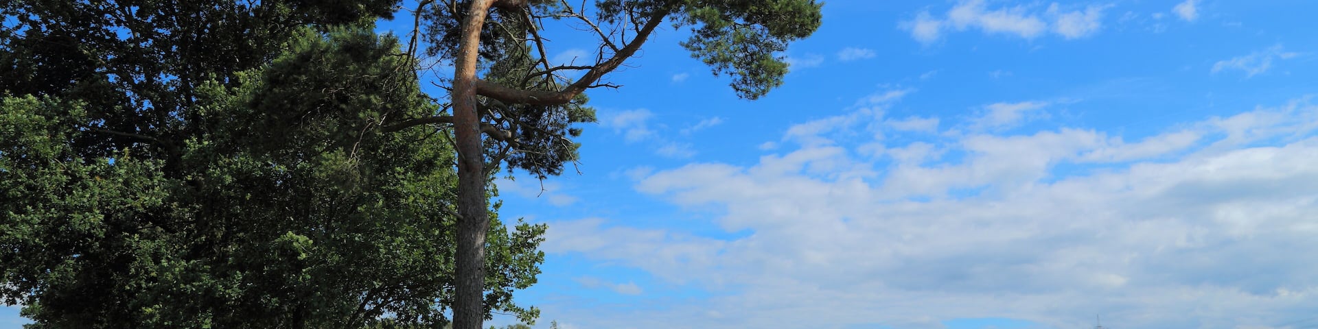 This is a picture of the protected area listed at WDPA under the ID