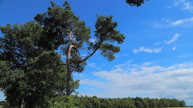 This is a picture of the protected area listed at WDPA under the ID