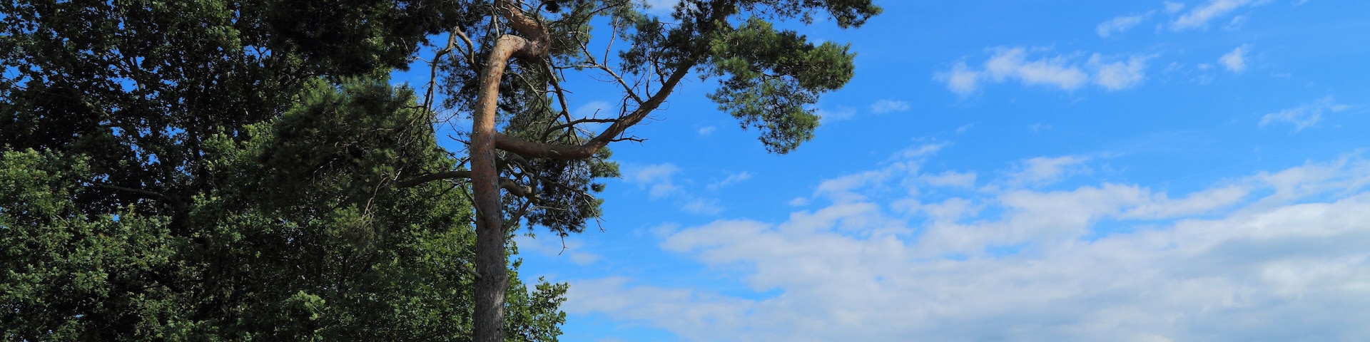 This is a picture of the protected area listed at WDPA under the ID