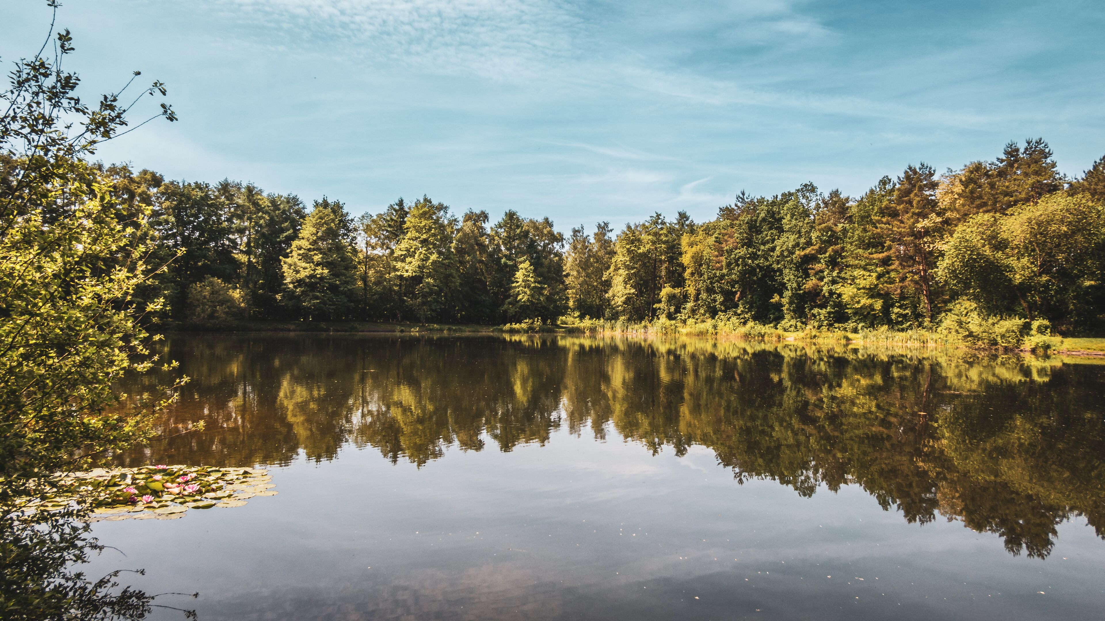 Baggersee near Achmer – Peaceful Lake with Forest Reflections in a Tranquil Landscape