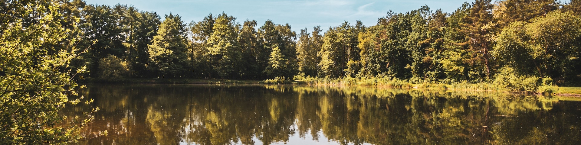 Um lago tranquilo rodeado por árvores densas refletindo o céu.