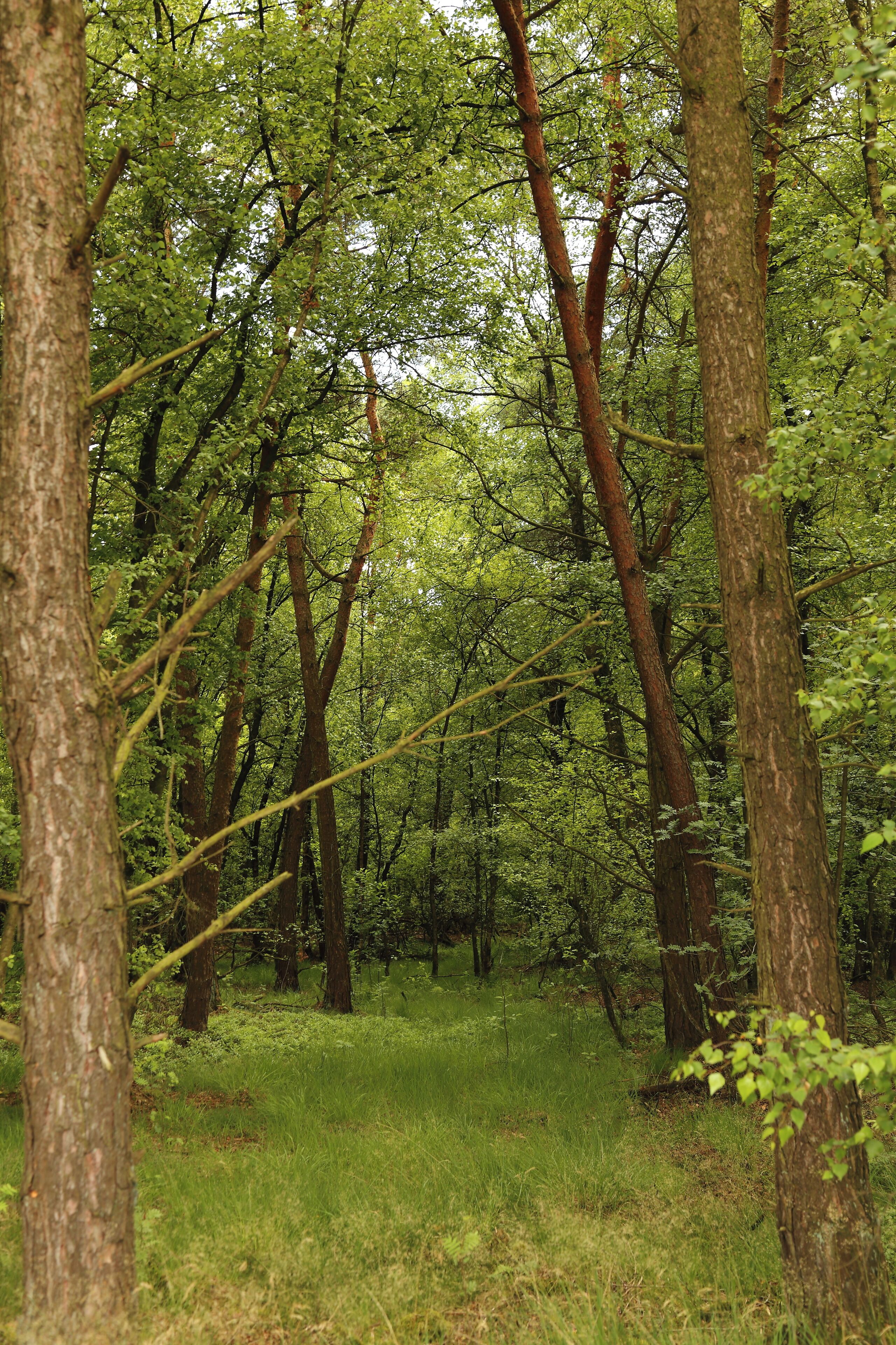 This is a picture of the protected area listed at WDPA under the ID