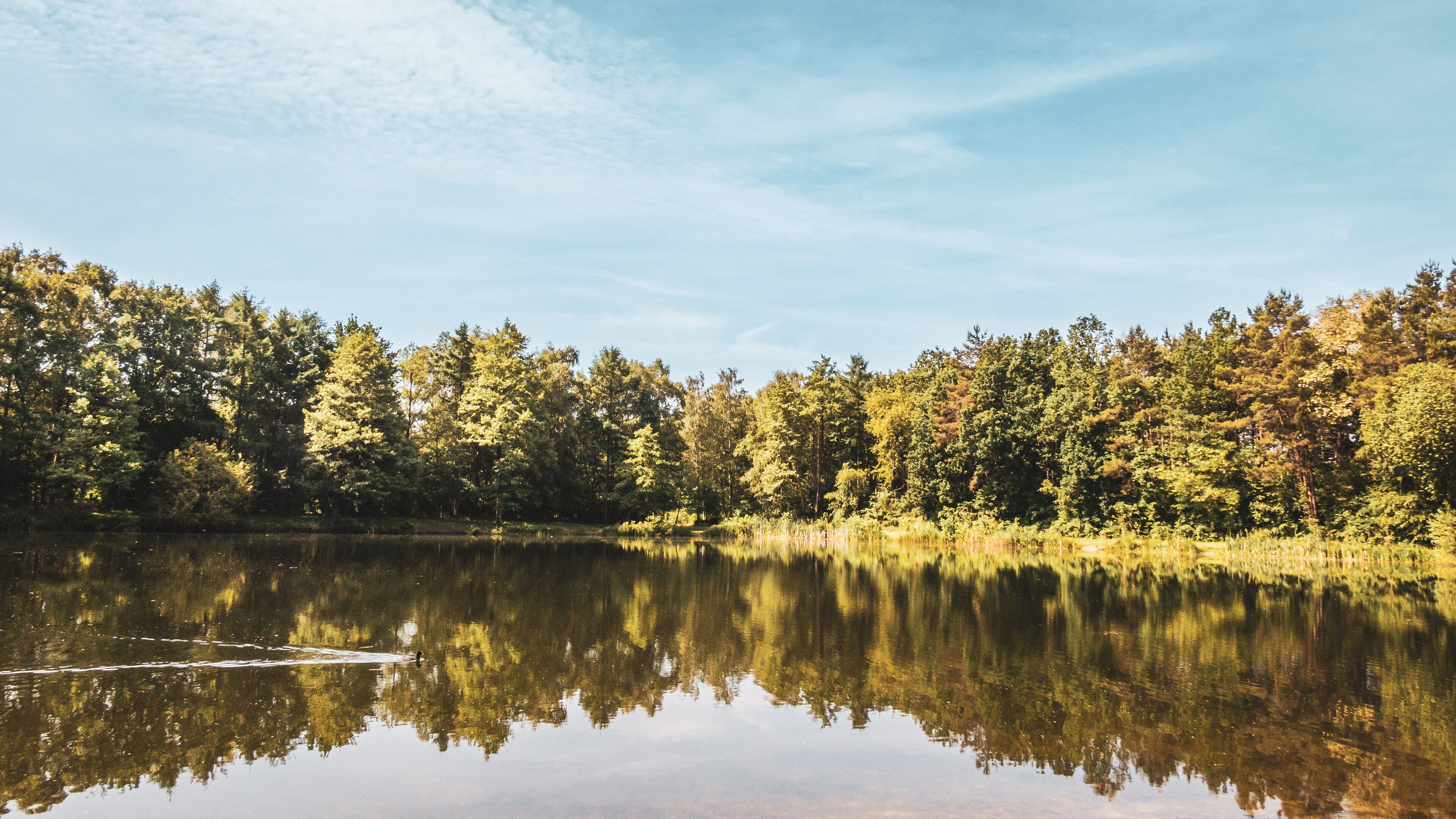 Baggersee near Achmer – Peaceful Lake with Forest Reflections in a Tranquil Landscape