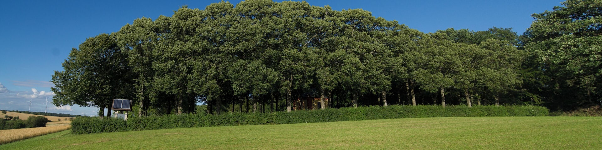 Westseite des Kriegerhains in Hettingen