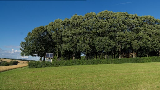 Westseite des Kriegerhains in Hettingen
