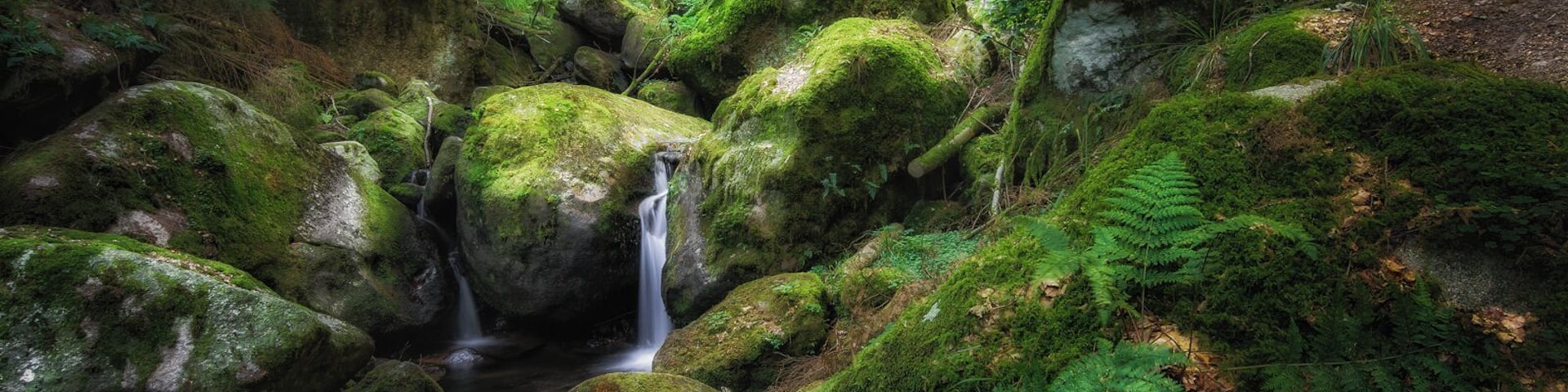 One of the best things to do in spring? Walk through a forest and enjoy the fresh green. If there's a small waterfall and some soft light...it's just perfect.
#SpringFun