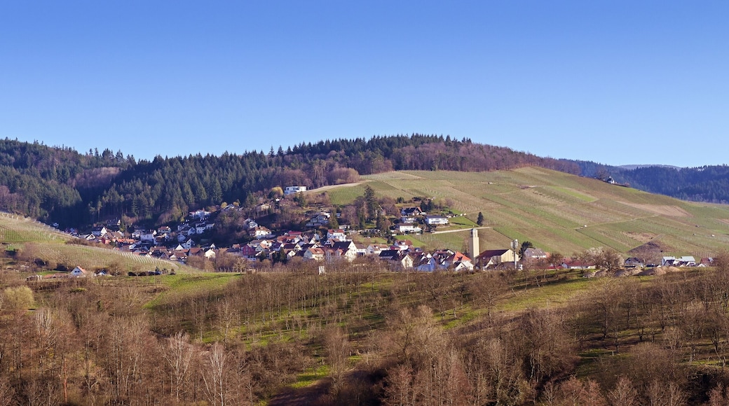 Bühl