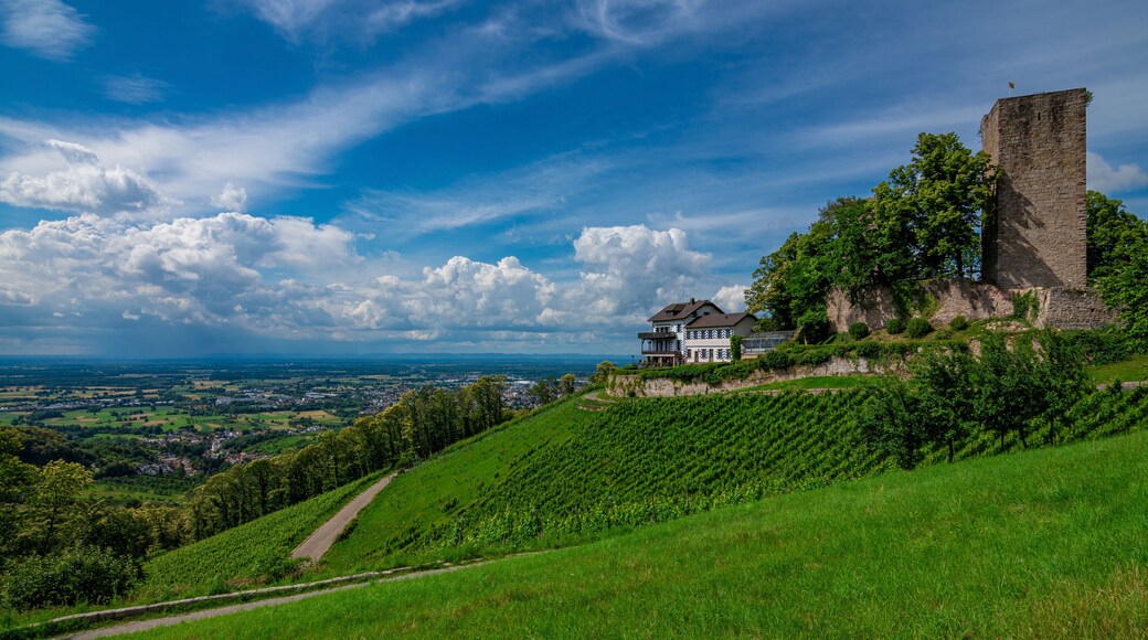 Castle Windeck in Bühl, Black Forest, Germany with a blue sky, white clouds, and green grapevine on a sunny summer day