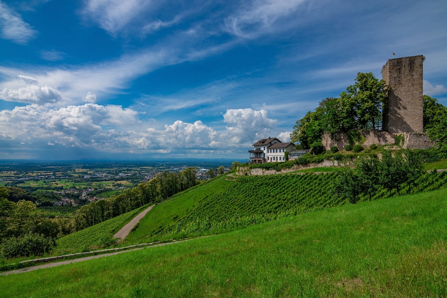 Castle Windeck in Bühl, Black Forest, Germany with a blue sky, white clouds, and green grapevine on a sunny summer day
