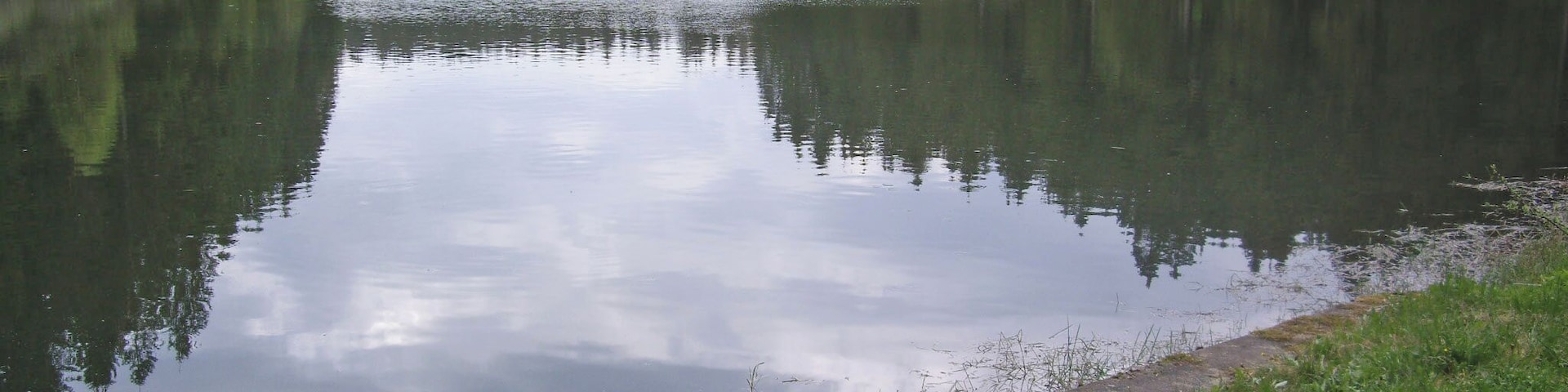 Unterer Flambacher Teich bei Buntenbock im Harz, Blick vom Ausfluss am westlichen Ende des Staudamms über den See. Im Hintergrund der Staudamm des Oberen Flambacher Teiches.