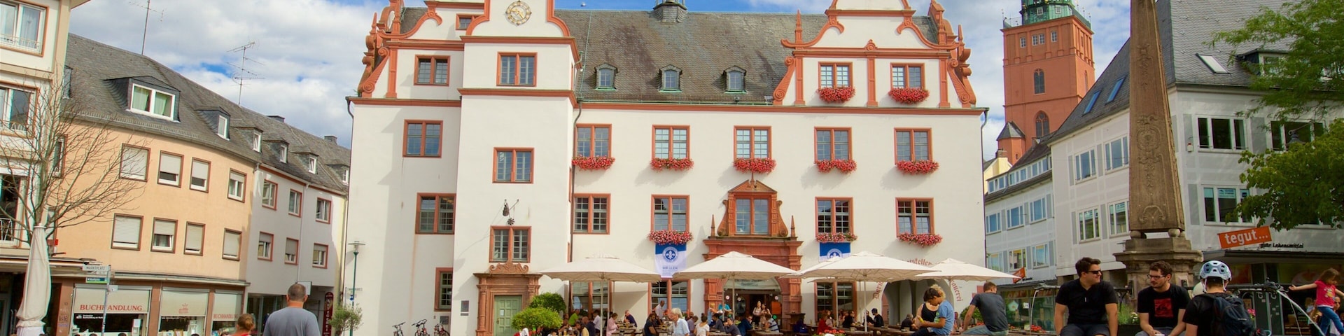 Darmstadt featuring street scenes, a fountain and a square or plaza