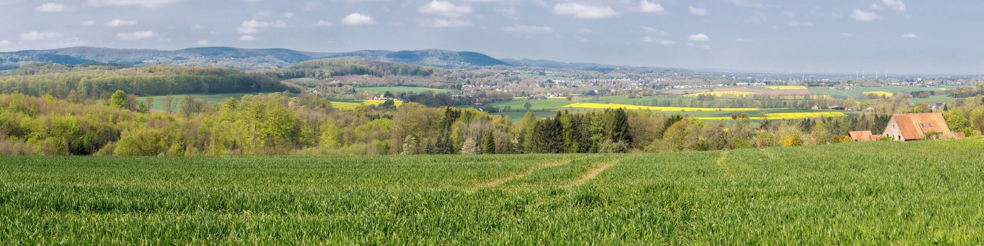 Panoramaansicht von der Leistruper-Wald-Straße Richtung Westen, im Wesentlichen LSG Südliches Lipper Bergland mit Werrehügelland und Detmolder Hügelland sowie Bielefelder Osning mit Pivitsheider Bergen