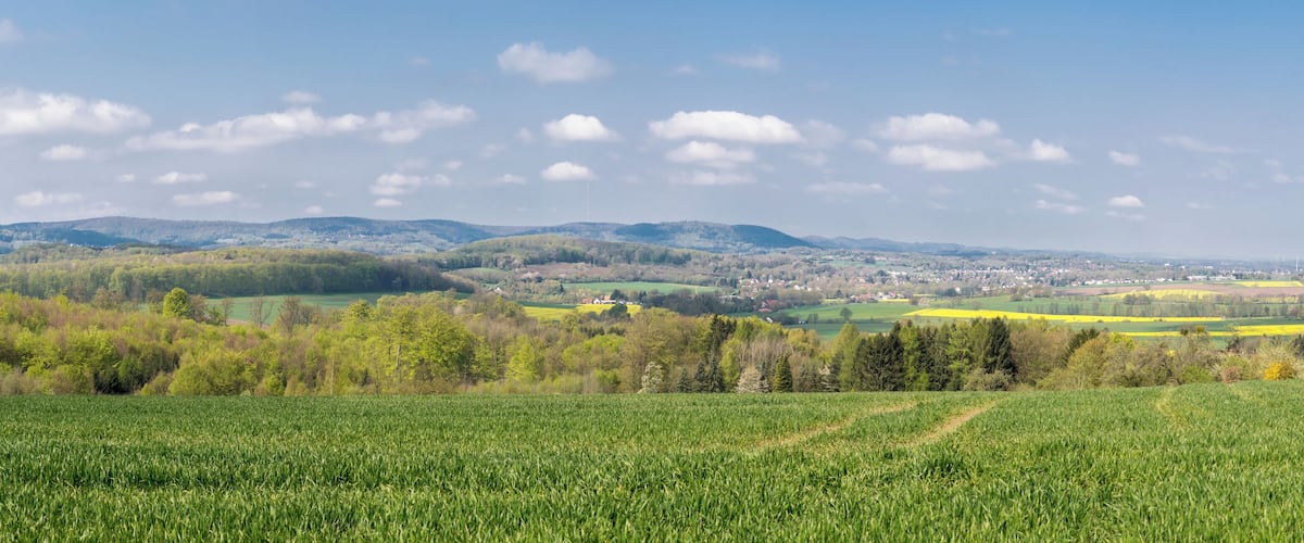 A rural landscape with green fields, scattered trees, and distant hills under a clear sky.
